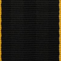 Paralleled Yellow Panel