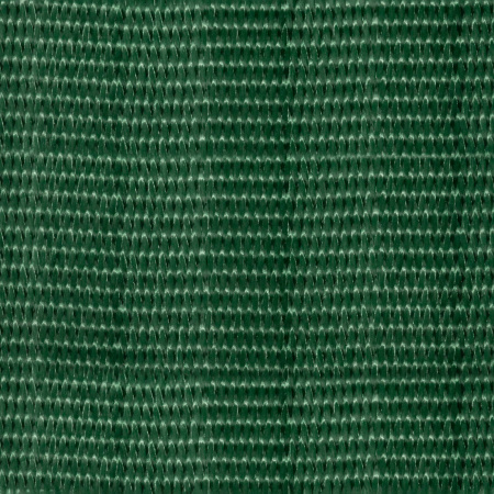 Jungle Green Jungle Green