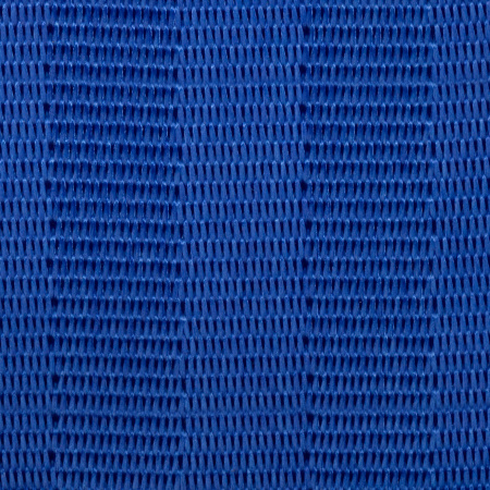 Blue Orchid - Paneled